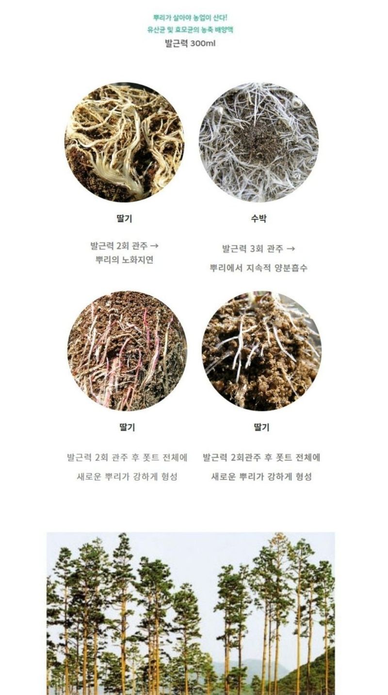 대산농사대장님의 장터 판매 상품 [발근력2L] 첨부 사진