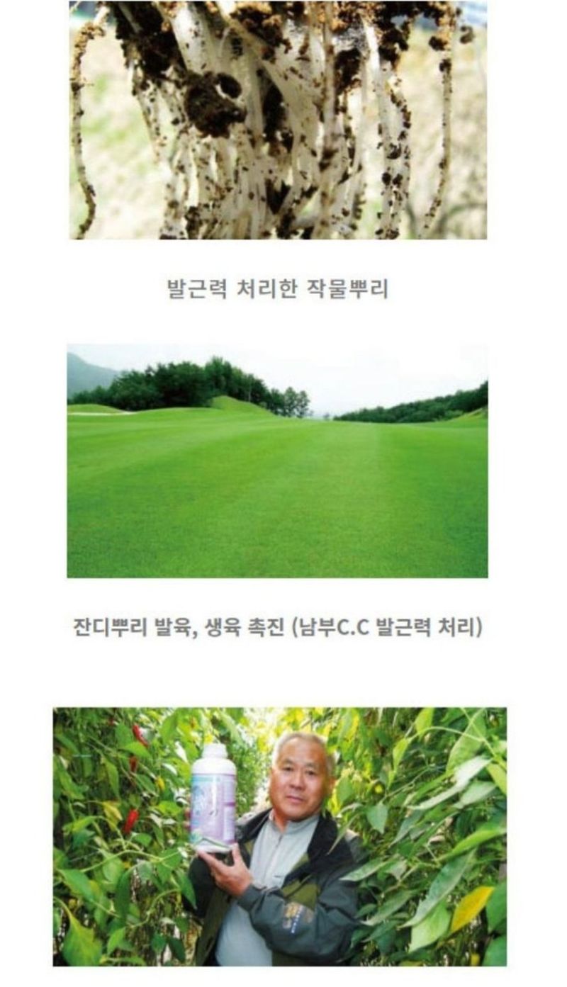 대산농사대장님의 장터 판매 상품 [발근력2L] 첨부 사진