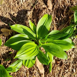 훈&팜님의 3월 내 작물 자랑하기 · 참여글 작성글 사진