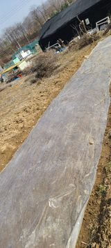 팜모닝 감자·영농일지 게시글 이미지