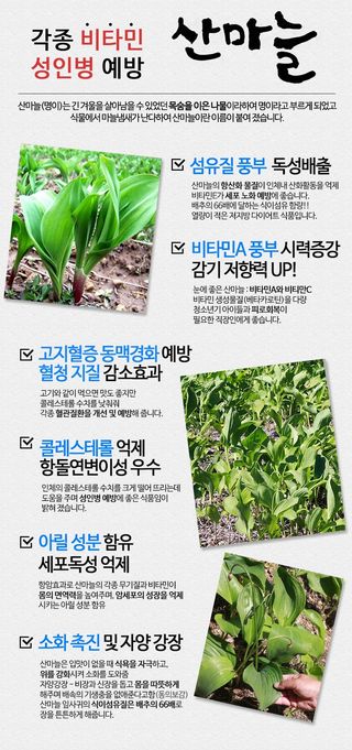 홍천산채농원님의 작성글 사진