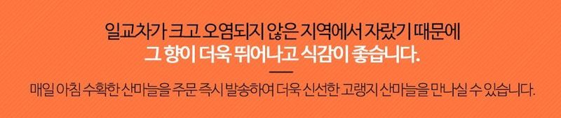 홍천산채농원님의 장터 판매 상품 [잎명이(고랭지 비가림하우스잎명이)] 첨부 사진