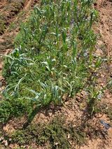 팜모닝 자유주제·자유게시판 게시글 이미지