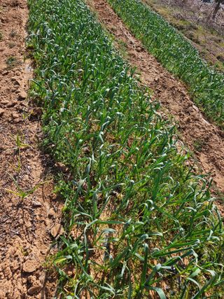 장병규님의 자유주제 · 자유게시판 작성글 사진