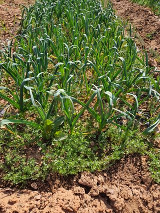 장병규님의 자유주제 · 자유게시판 작성글 사진