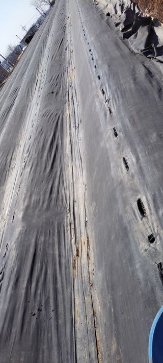 김종옥님의 고추 · 영농일지 작성글 사진