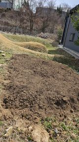 팜모닝 자유주제·자유게시판 게시글 이미지