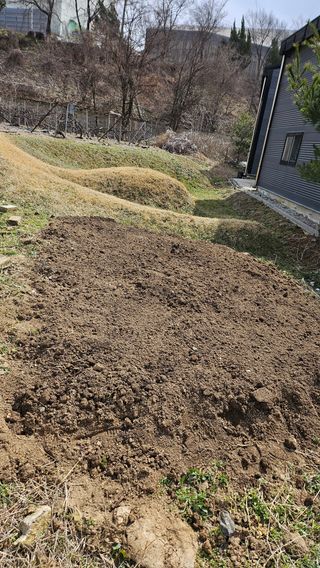 윤근순님의 자유주제 · 자유게시판 작성글 사진