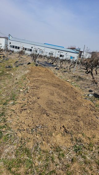 윤근순님의 자유주제 · 자유게시판 작성글 사진