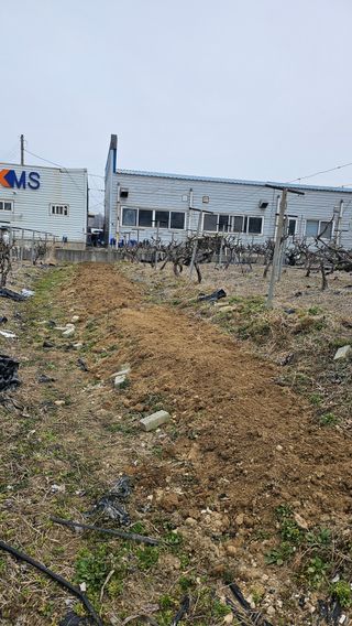 윤근순님의 자유주제 · 자유게시판 작성글 사진