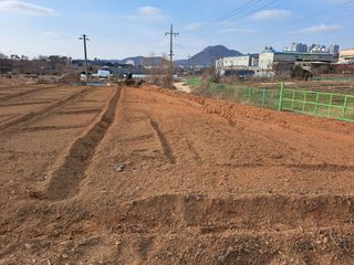 임후남님의 감자 · 영농일지 작성글 사진