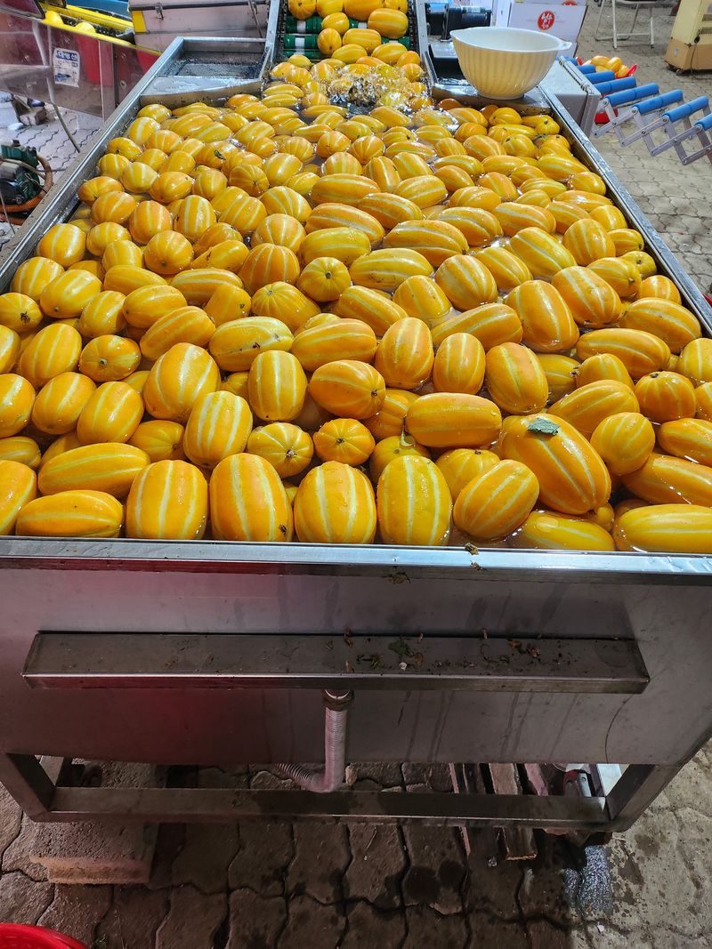 김대현님의 장터 판매 상품 [경북 성주참외 가정용 3kg(할인)] 첨부 사진