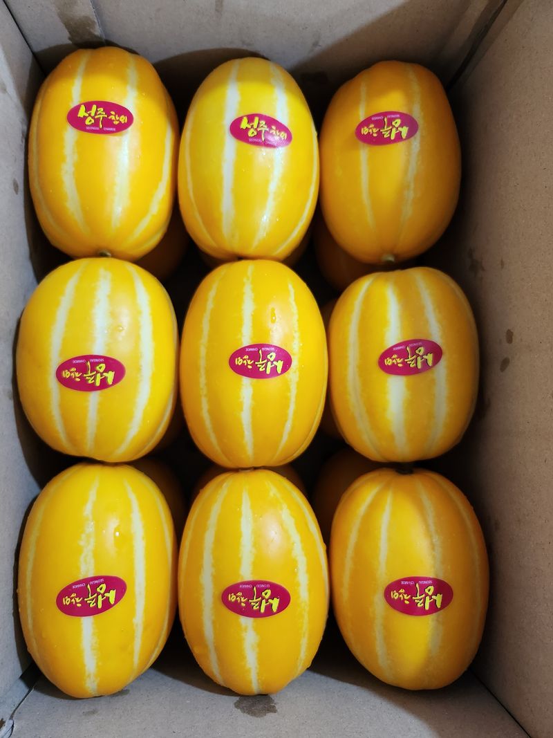 김대현님의 장터 판매 상품 [경북 성주참외 가정용 3kg(할인)] 첨부 사진