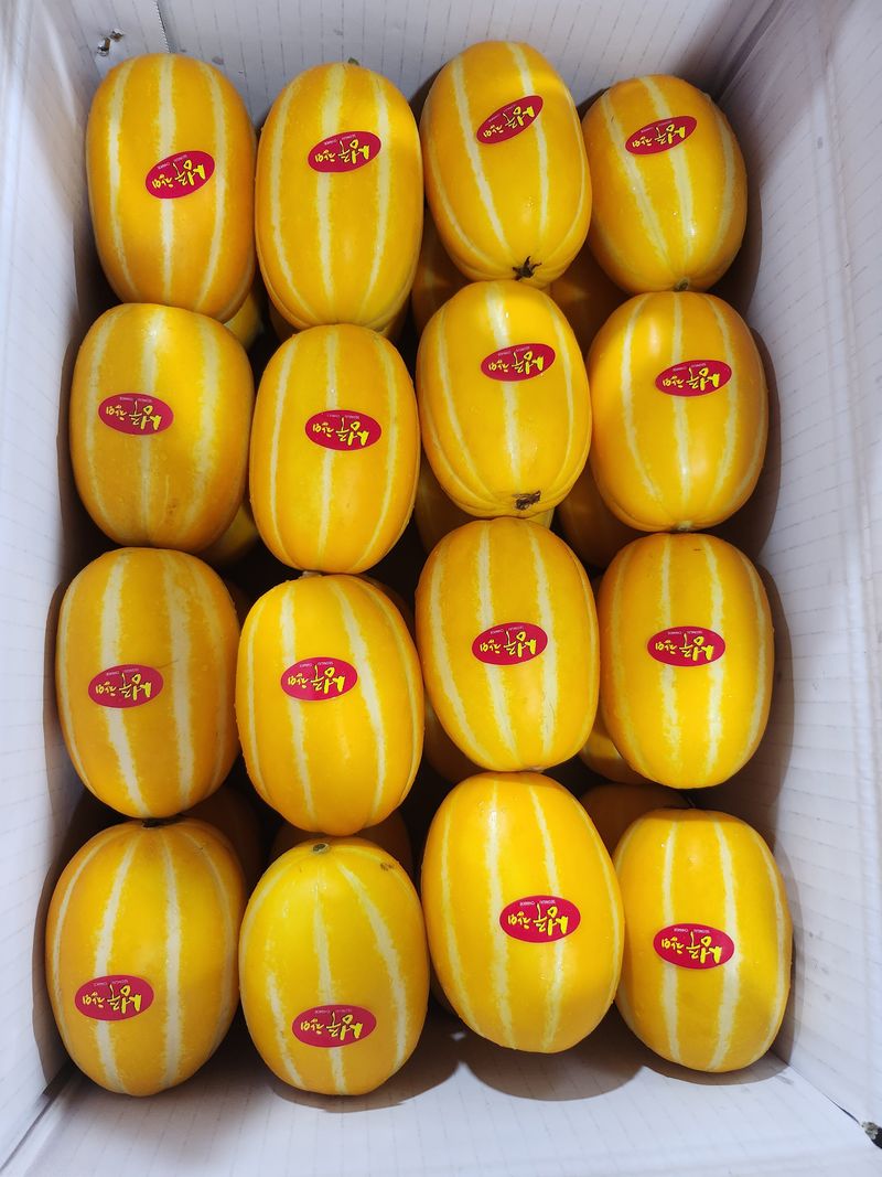 김대현님의 장터 판매 상품 [경북 성주참외 가정용 3kg(할인)] 첨부 사진