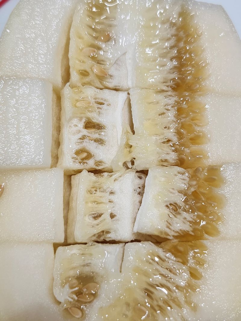 김대현님의 장터 판매 상품 [경북 성주참외 가정용 3kg(할인)] 첨부 사진