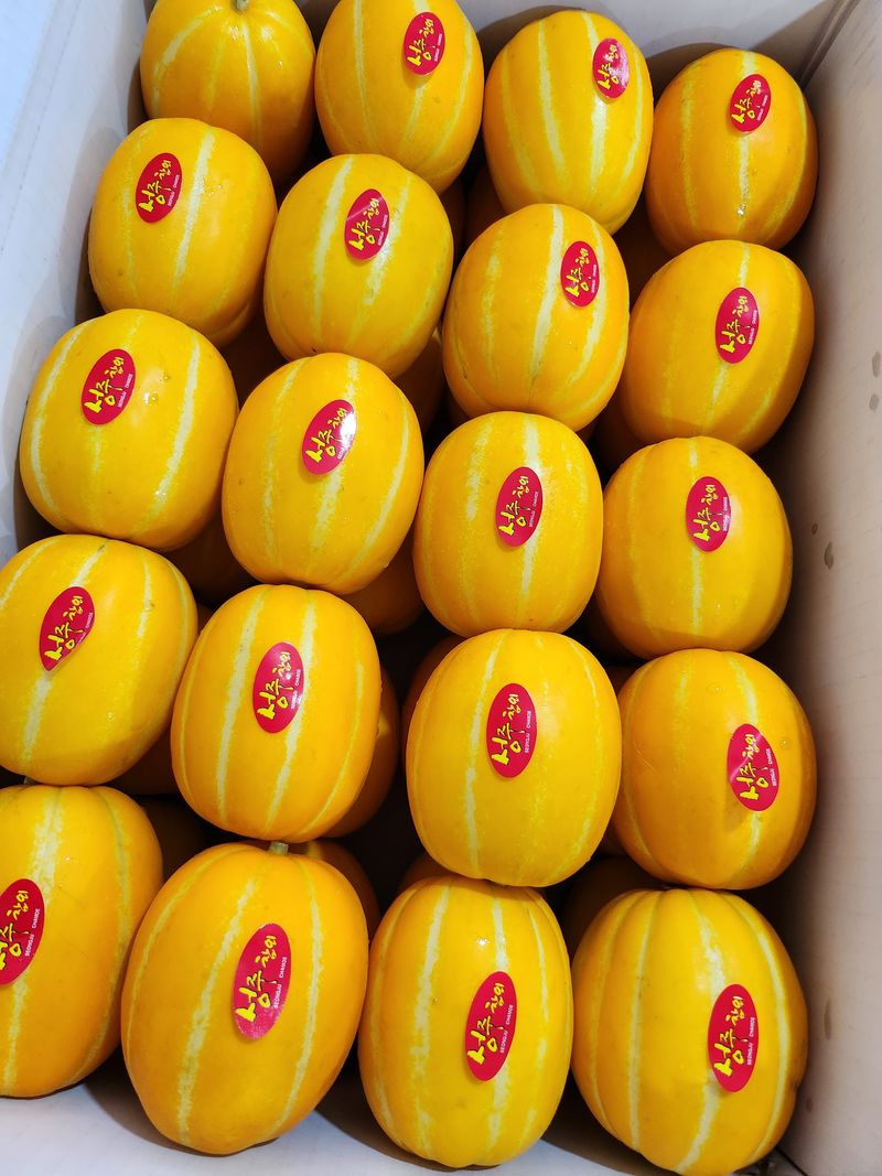 김대현님의 장터 판매 상품 [경북 성주참외 가정용 3kg(할인)] 첨부 사진