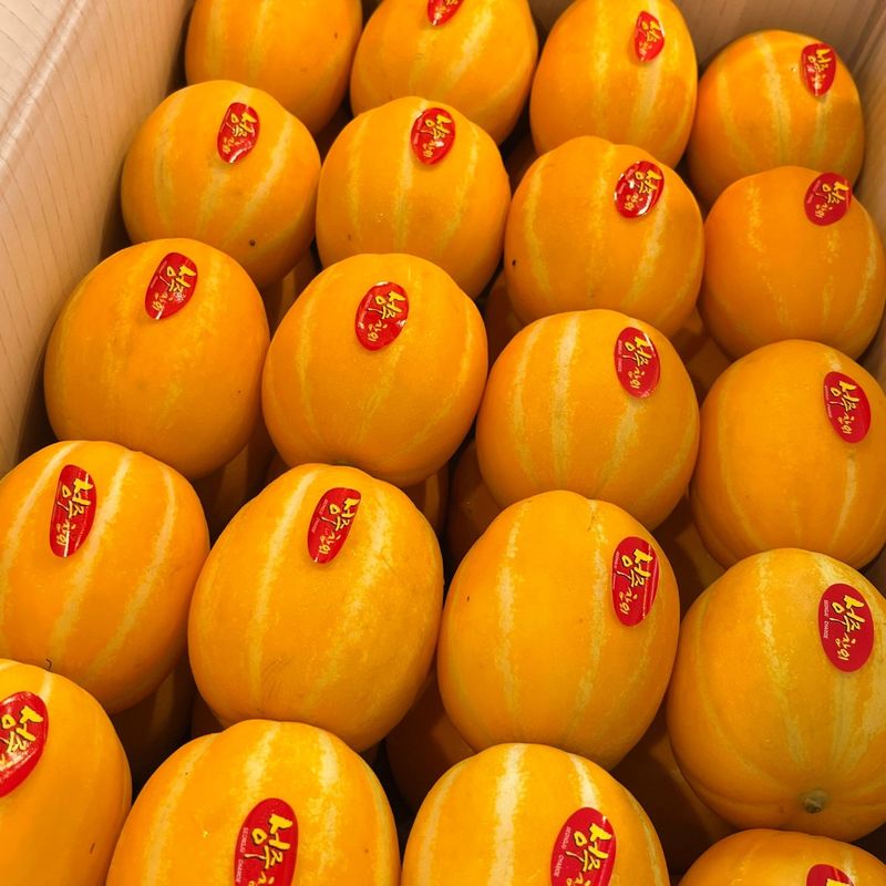 장터 상품 [경북 성주참외 가정용 3kg(할인)] 썸네일