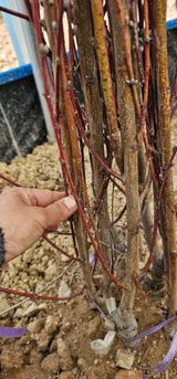 팜모닝 · 게시글 이미지