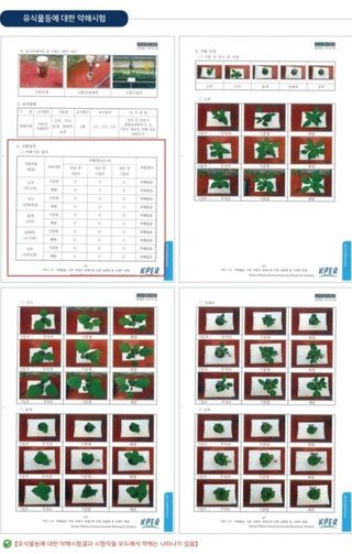 대산농사대장님의 작성글 사진