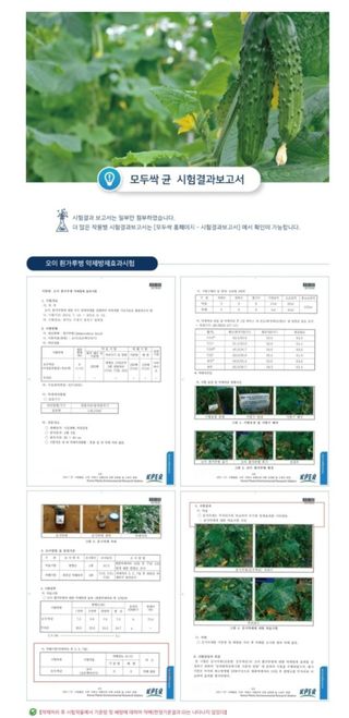 대산농사대장님의 작성글 사진