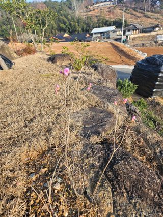 딸기13732님의 자유주제 · 자유게시판 작성글 사진