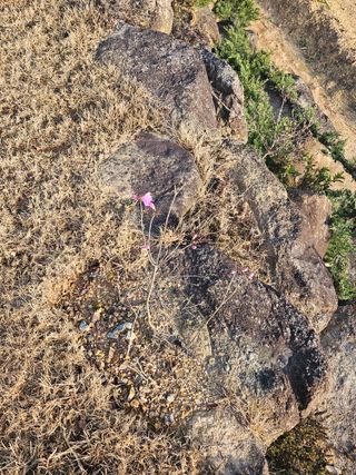 딸기13732님의 자유주제 · 자유게시판 작성글 사진