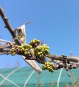 팜모닝 자유주제·자유게시판 게시글 이미지