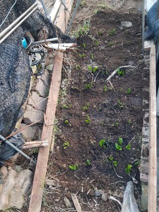 jun님의 기타작물 · 영농일지 작성글 사진