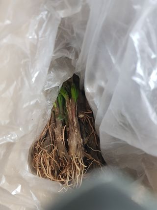 jun님의 기타작물 · 영농일지 작성글 사진