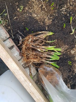 jun님의 기타작물 · 영농일지 작성글 사진