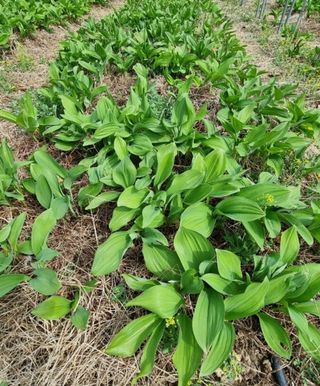 박철규 님의 자유주제 · 자유게시판 작성글 사진