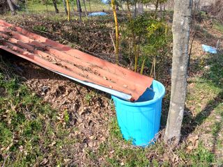 신현철님의 사과 · 영농일지 작성글 사진