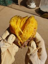 팜모닝 · 게시글 이미지