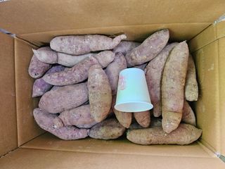 해풍님의 작성글 사진