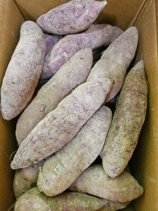 해풍님의 작성글 사진