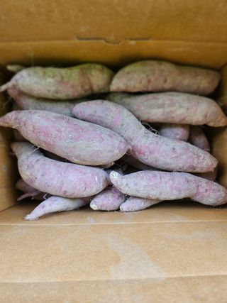 해풍님의 작성글 사진