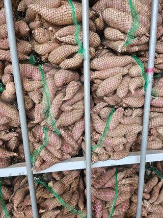 해풍님의 작성글 사진