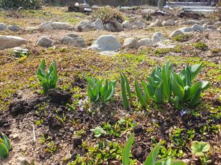 다온아띠농원 장현호님의 자유주제 · 자유게시판 작성글 사진