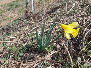 다온아띠농원 장현호님의 자유주제 · 자유게시판 작성글 사진