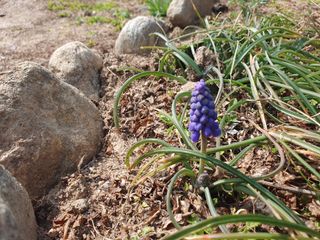 다온아띠농원 장현호님의 자유주제 · 자유게시판 작성글 사진