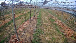 최병일님의 자유주제 · 자유게시판 작성글 사진