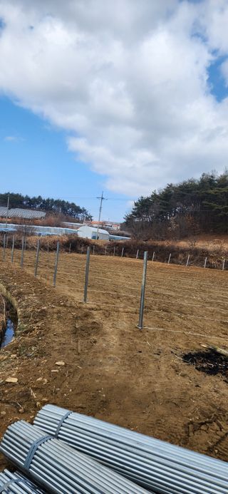 백연경님의 포도 · 영농일지 작성글 사진