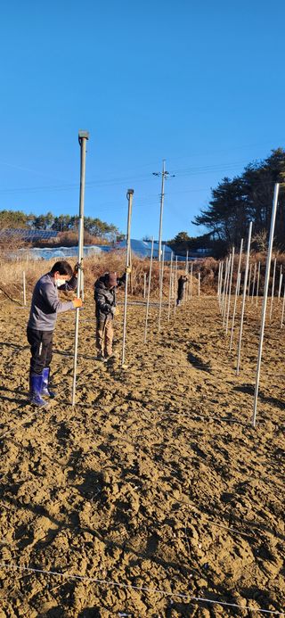 백연경님의 포도 · 영농일지 작성글 사진