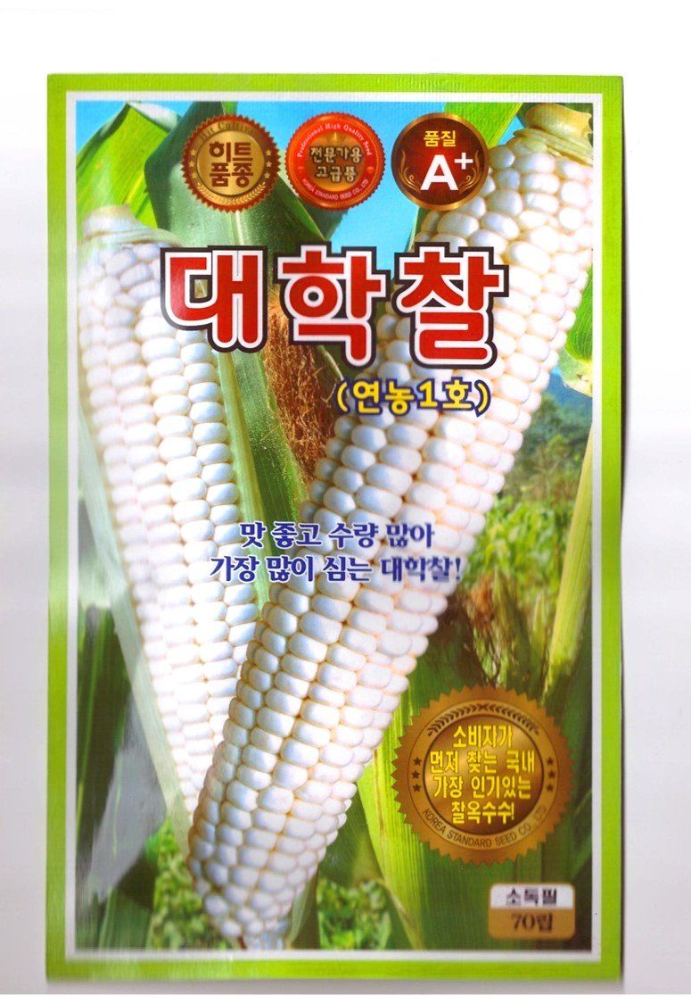 장터 상품 [대학찰옥수수씨앗 70립] 썸네일