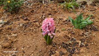 영월산지기148님의 자유주제 · 자유게시판 작성글 사진