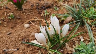 영월산지기148님의 자유주제 · 자유게시판 작성글 사진