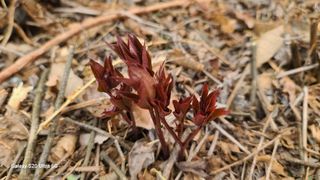 영월산지기148님의 자유주제 · 자유게시판 작성글 사진
