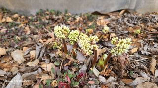 영월산지기148님의 자유주제 · 자유게시판 작성글 사진