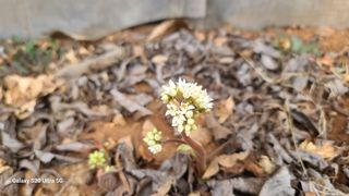 영월산지기148님의 자유주제 · 자유게시판 작성글 사진