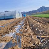 팜모닝 자유주제·자유게시판 게시글 이미지